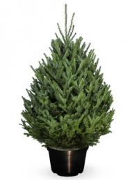 ����� ������� � ������