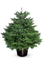 ����� �������� � ������